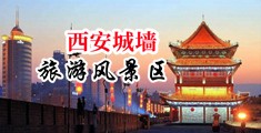 淫老头视频中国陕西-西安城墙旅游风景区