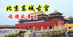 骚逼女优被男人操爽的网站中国北京-东城古宫旅游风景区